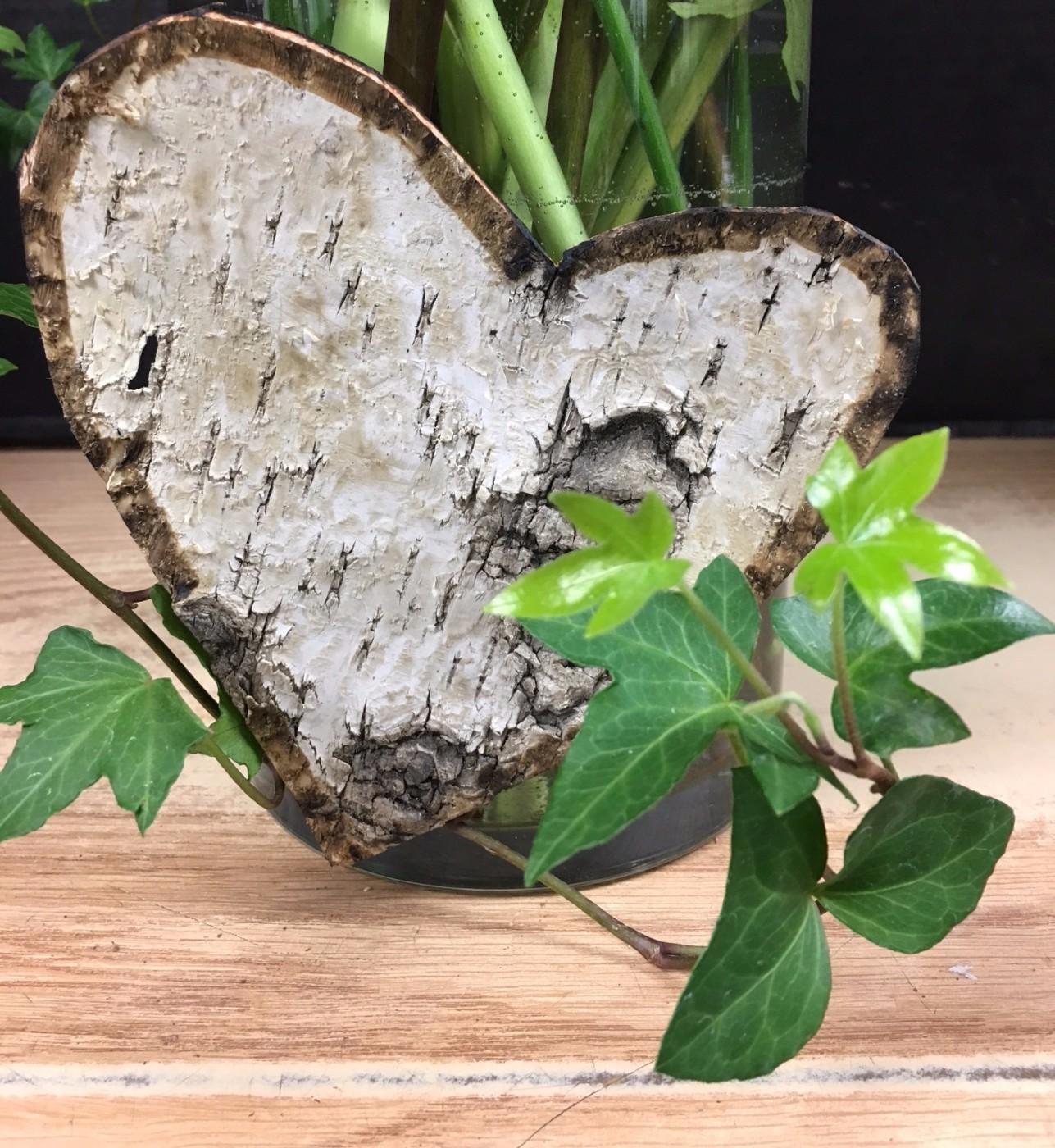 Birch Heart
